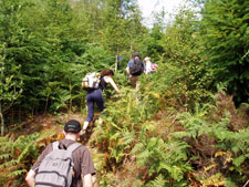 Wales-Wales-Welch Borders Trail